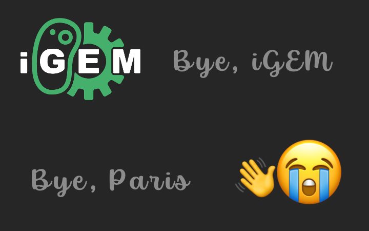 后日谈：iGEM2025 cover
